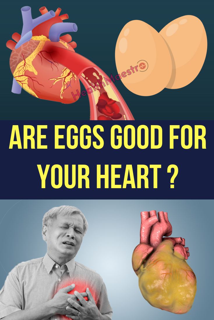 What Happens to your Heart Health If You Take an Egg Daily